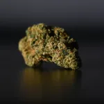 مركبات القنب تظهر نتائج واعدة في مكافحة مرض الكبد الدهني، حسب علماء