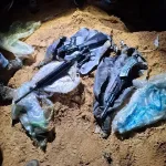 Defense Minister Orders Administrative Detention for Weapons Smuggler