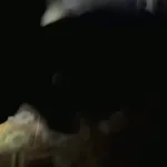 Egoz forces apprehended a squad commander in the “Lebanese Brigades” terrorist organization.