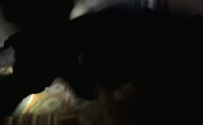 Egoz forces apprehended a squad commander in the "Lebanese Brigades" terrorist organization.