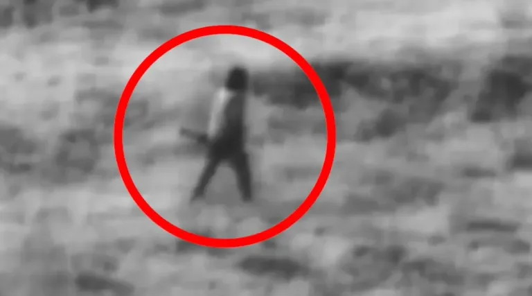 Forces of the 91st Division eliminated over 30 Hezbollah terrorists in Lebanon.