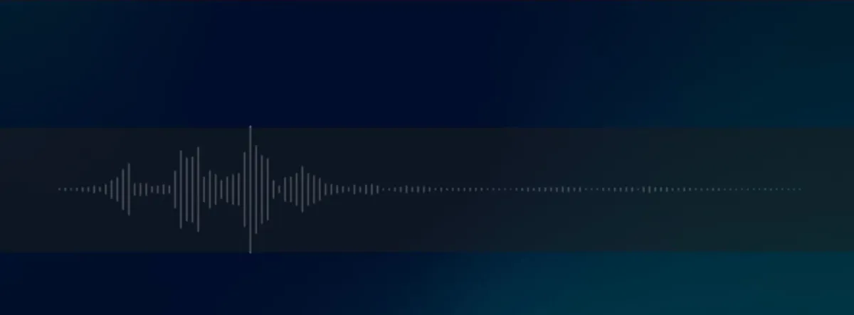 Избавьтесь от них уже, «Хезболла». Они выгнали нас из наших домов.