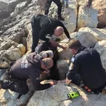 Girl Rescued From Gordon Beach Rocks by Police