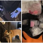 Herzliya: 6 Arrested in Raid on Criminal Hub