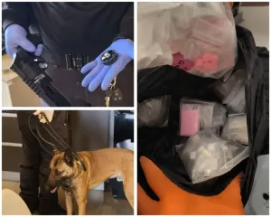 Herzliya: 6 Arrested in Raid on Criminal Hub