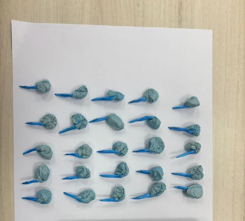 جسر الزرقاء: الشرطة تضبط عشرات الجرعات من الهيروين وتعتقل مشتبهاً به