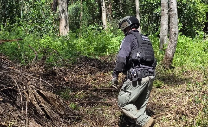 Police Investigate Weapons Incident in Upper Galilee