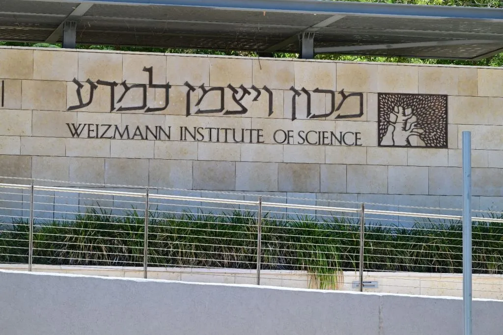 Ant Colonies Inspire Next-Generation Robotics and Self-Building Structures