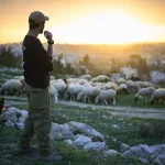 Biblical Shepherds Ignored Borders, Even in Wartime, Researchers Say