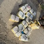 IDF forces from the Jordan Valley and the Valleys Brigade thwarted a drug smuggling operation worth millions of shekels on the eastern border earlier today (Friday).
