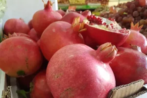 Japan to Expand Purchases of Israeli Pomegranates