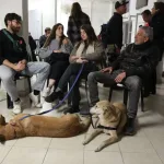 Jerusalem Upgrades Civil Defense with Remote-Access Public Shelters