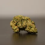 Medical Cannabis Overhaul Sparks Debate Over Smoking-Based Treatment