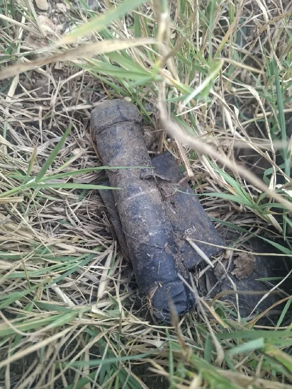 Poco antes de que se llevara a cabo un asesinato criminal, se frustró la activación de un artefacto explosivo en la zona de Kiryatim. Durante el fin de semana, agentes de policía y detectives de las estaciones de Zevulun y Kiryat Ata llevaron a cabo una operación para incautar