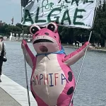 Here is another example of a crazy pro-algae (likely paid) protestor.