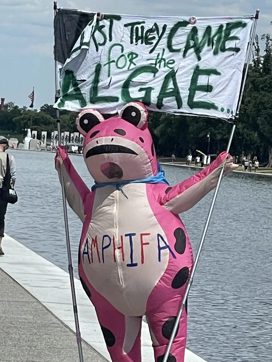 Here is another example of a crazy pro-algae (likely paid) protestor.