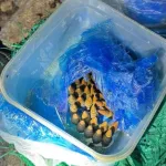 In a joint operation by the Galilee District Intelligence and Investigations Unit in the Northern District and the General Security Service, Yusef Gazawi (Ablin,