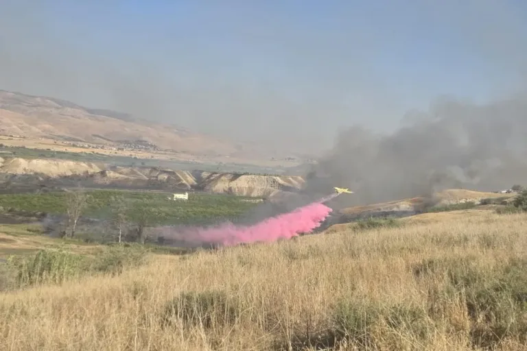 Wildfires Burn In Samaria and Jordan Valley, Some Linked to Arson