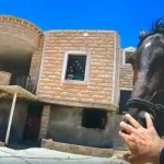 Police officers from the Judea and Samaria District located a horse near Yatta that was stolen from a farm in southern Hebron and returned it to its owner. Yesterday, a report was received regarding the disappearance of a horse from the Ma’on farm in southern Hebron.