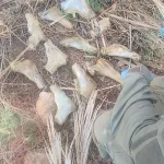In an operation by officers of the Jordan Valley Unit and IDF soldiers, a weapons smuggling attempt was thwarted near the Adam Bridge. Detectives from the Jordan Valley Unit (YAGI) of the Judea and Samaria District and fighters from the Jordan Valley Brigade