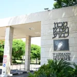 Israeli Discovery May Offer New Clues to Stress, Metabolic Disorders
