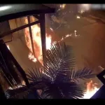 Tel Aviv District Police solved the arson incident at the “Japnika” restaurant in Givatayim.