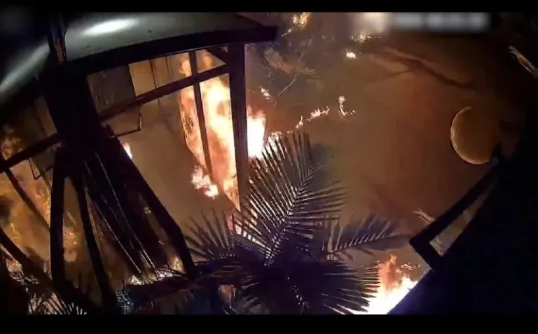Tel Aviv District Police solved the arson incident at the "Japnika" restaurant in Givatayim.