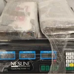 Two slabs of suspected cocaine, weighing 2.2 kg, were seized from a vehicle that attempted to flee on Highway 6.