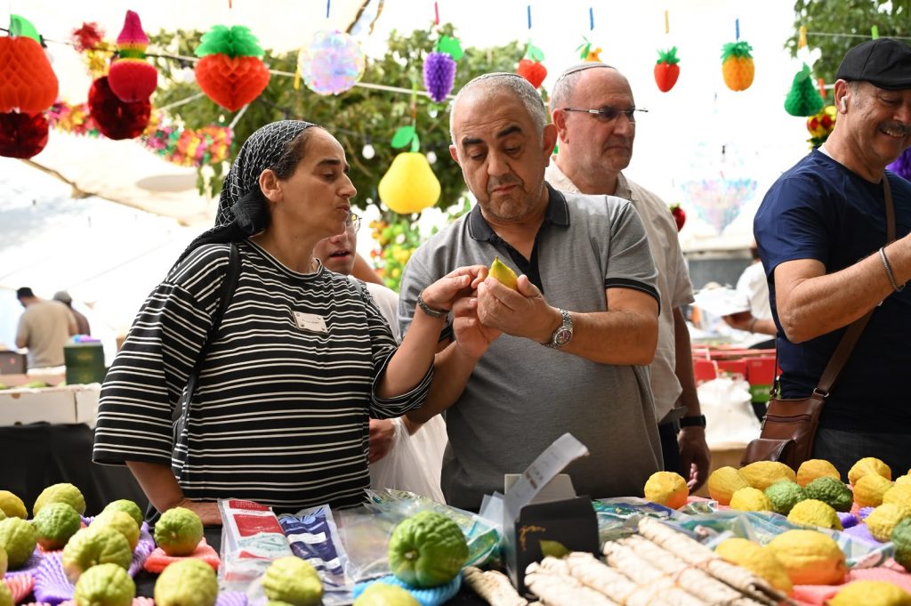Quatre Espèces de Souccot