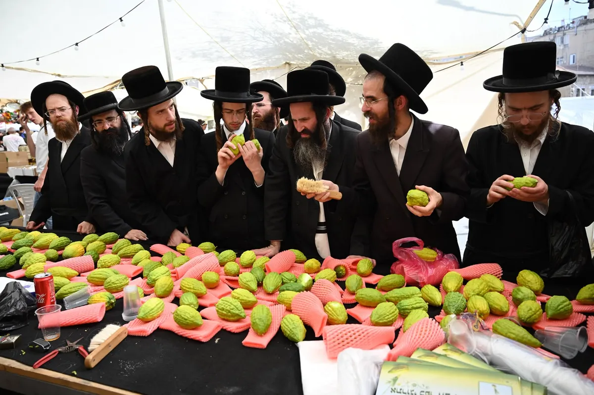 Photo by Yoav Dudkevitch/TPS-IL on 24 September, 2026