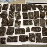 Israel Police: Following a report received from a citizen who was passing through an open area near the Shivat Ha'im junction, human bone remains were located at the scene - Holon Police officers in the Yarkon district, in cooperation