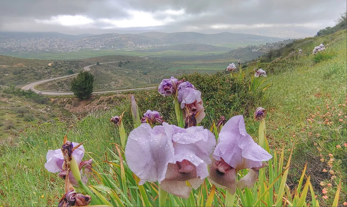 צילום: TPS, 14 באפריל 2023
