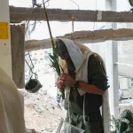 Israel Warns Travelers Not to Bring Four Species of Sukkot From Abroad