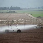 Israeli Study Unlocks Secret to Helping Crops Survive Salty Soil