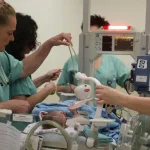 More Than Half of Israel’s Young Doctors Eye a Future Abroad