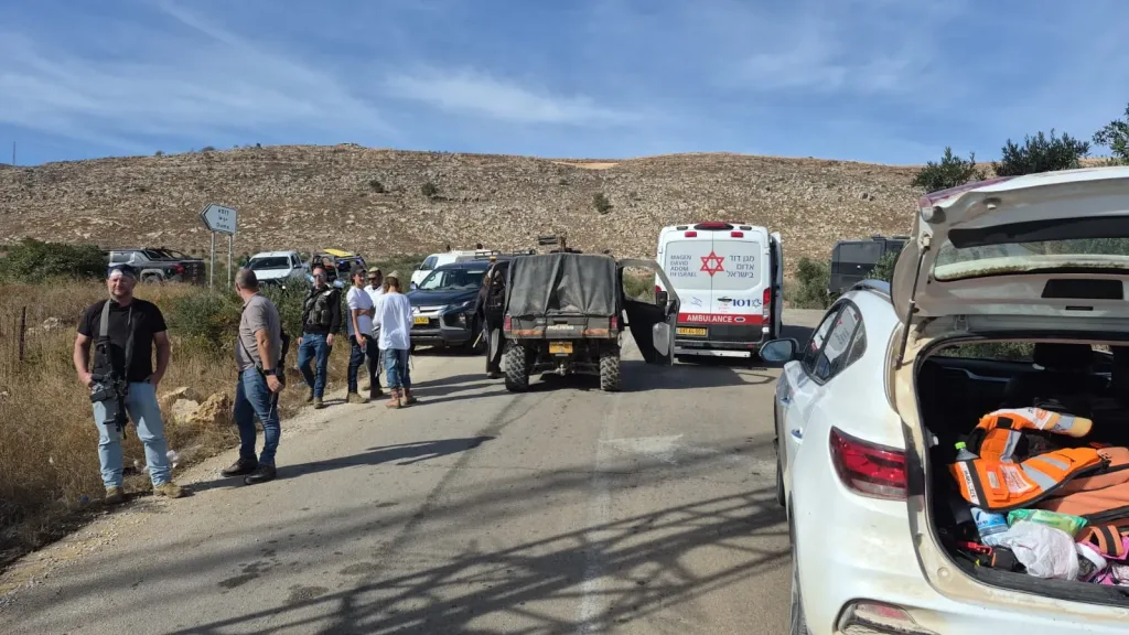Jewish Shepherds Attacked by Suspected Terrorists; Two Injured, Israeli Activist Detained